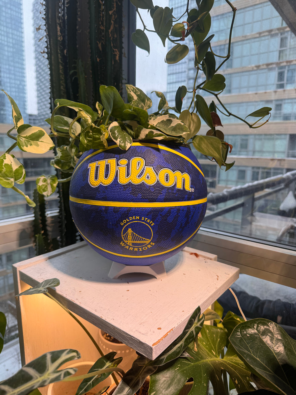 Large Basketball Planter (Golden State Warriors)