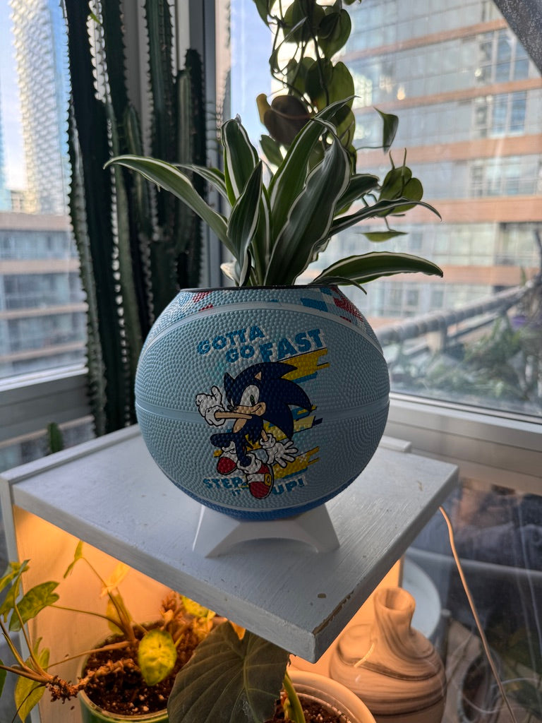 Mini Basketball Planter (Sonic the Hedgehog)