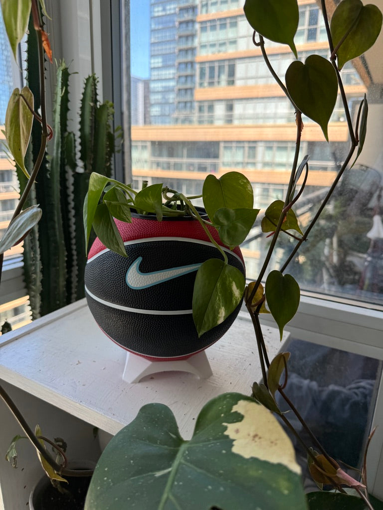 Nike Mini Basketball Planter (Blue Cherry)