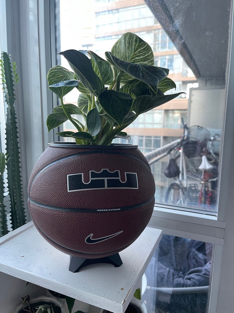 Nike Large Basketball Planter (LeBron Brown)