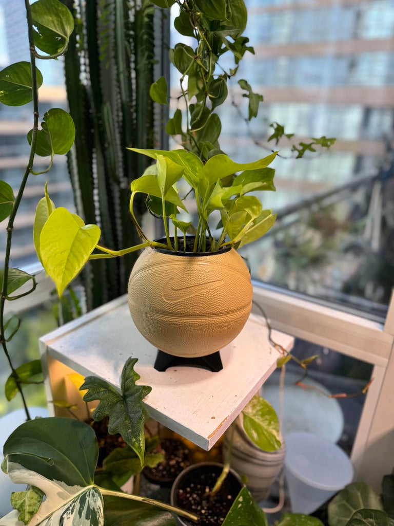Nike Mini Basketball Planter (Camel)