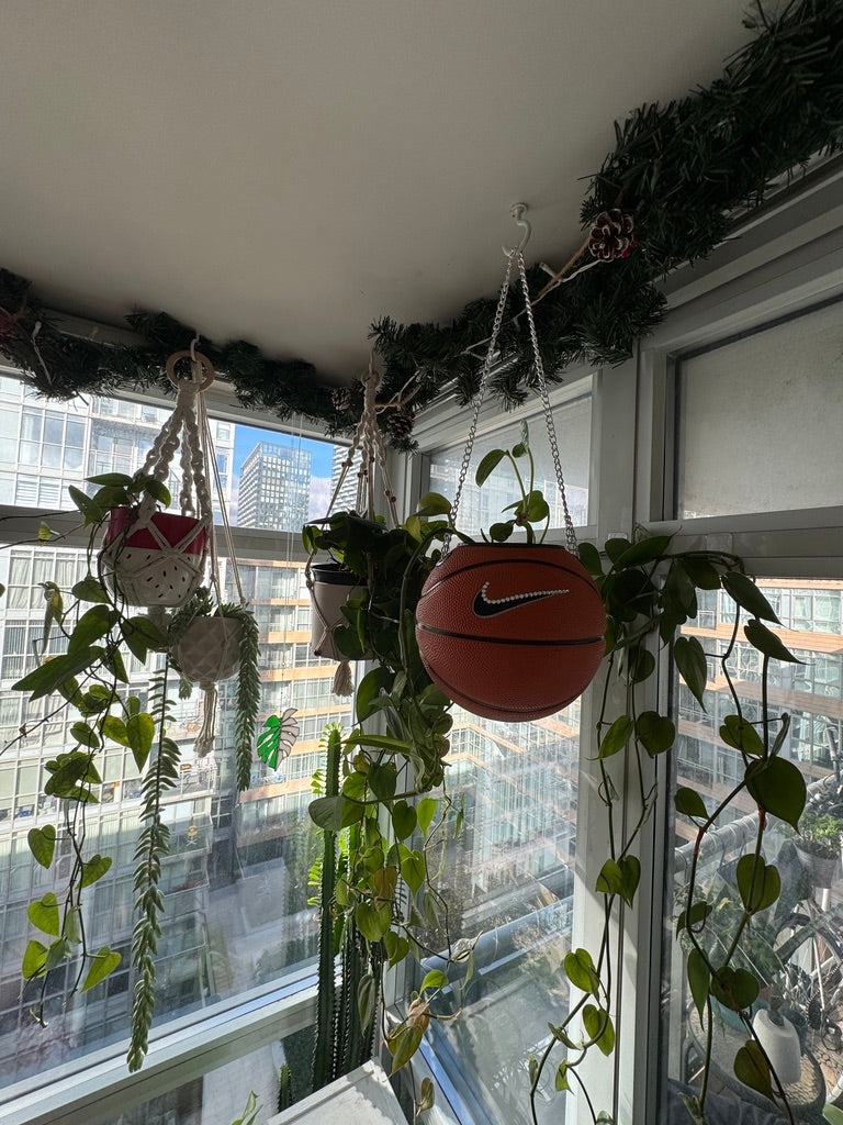Nike Mini Basketball Hanging Planter (Silver Chain OG - Crystal)