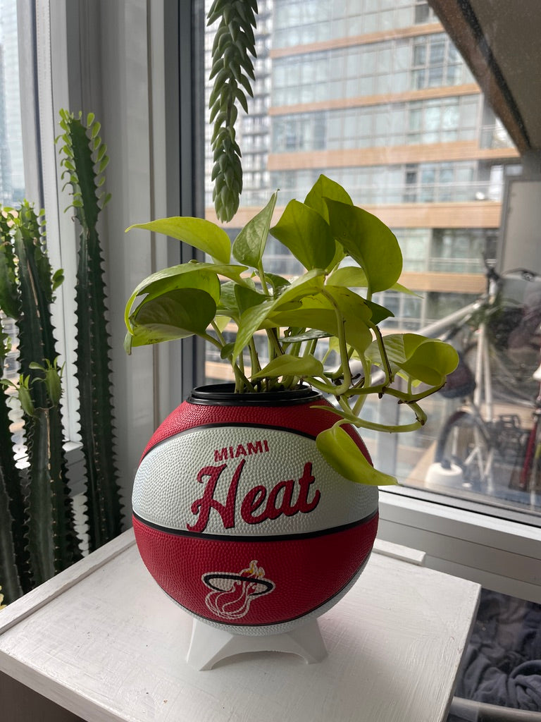 Mini Basketball Planter (Miami Heat)
