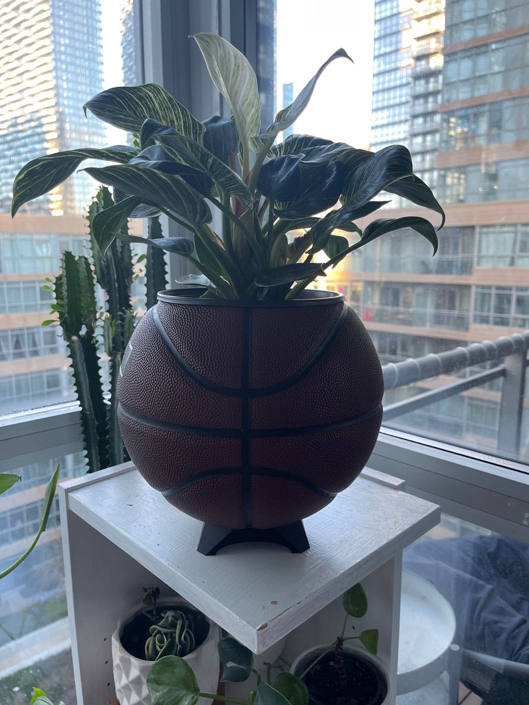 Nike Large Basketball Planter (LeBron Brown)