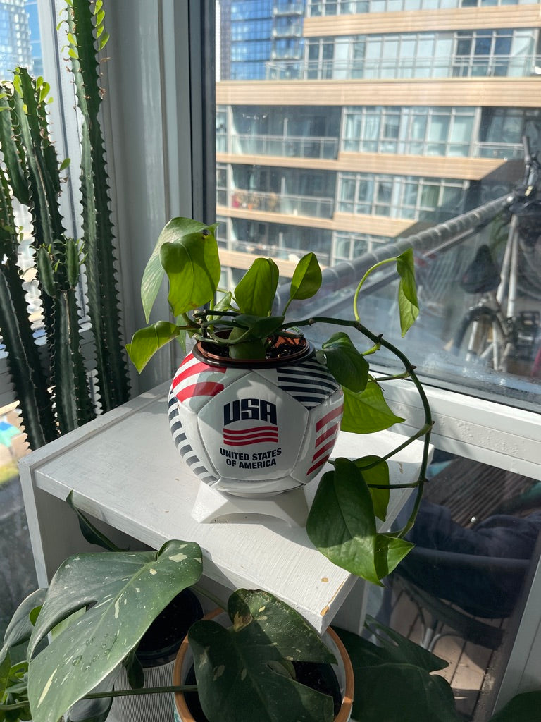 Mini Soccer Ball Planter (USA)
