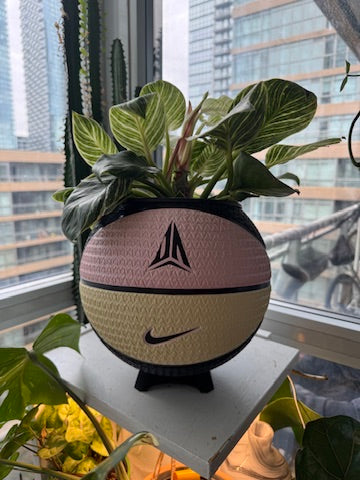 Nike Large Basketball Planter (Ja Morant Twelve Pink)