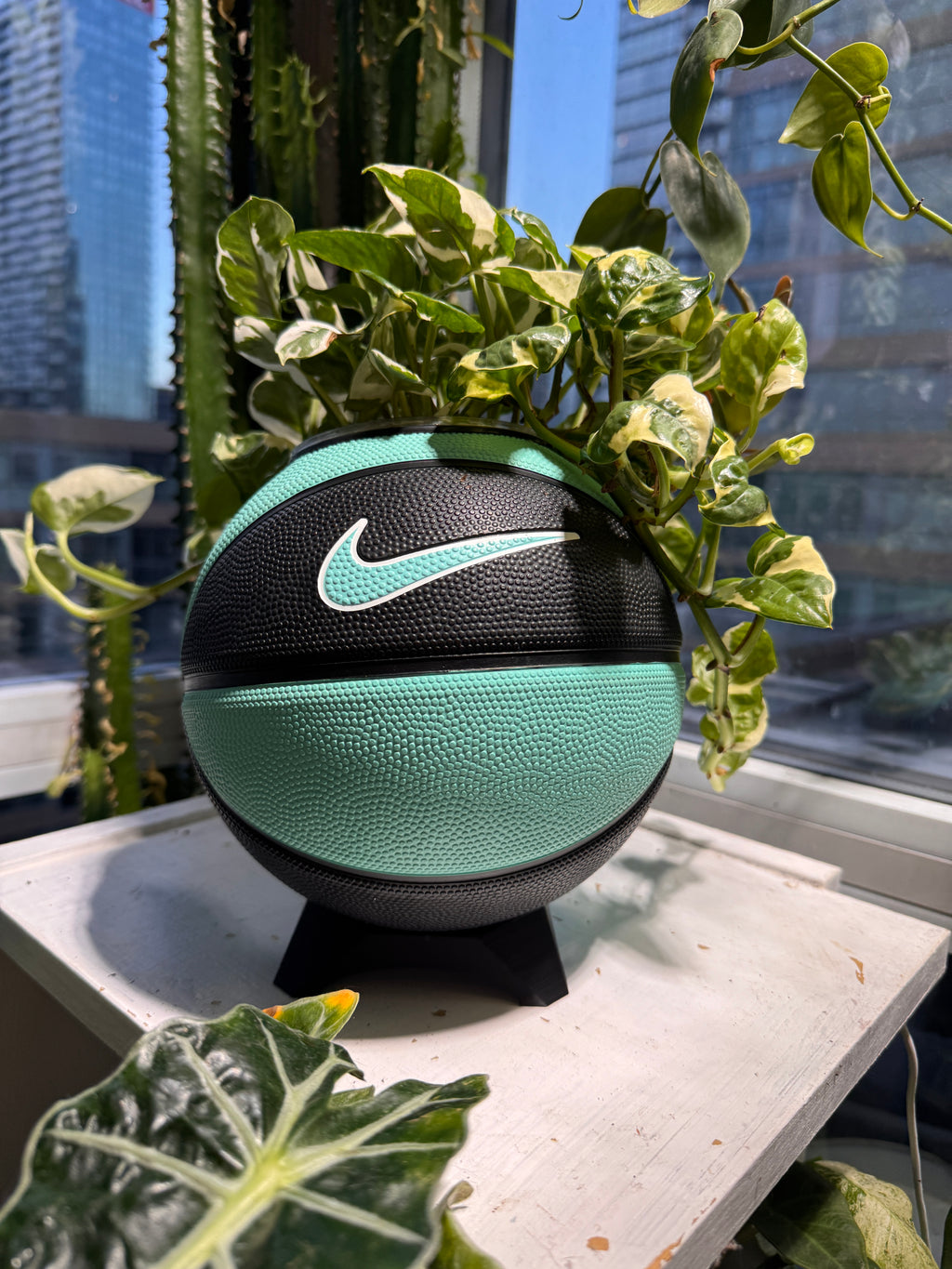 Nike Mini Basketball Planter (Tiff Blue & Black)