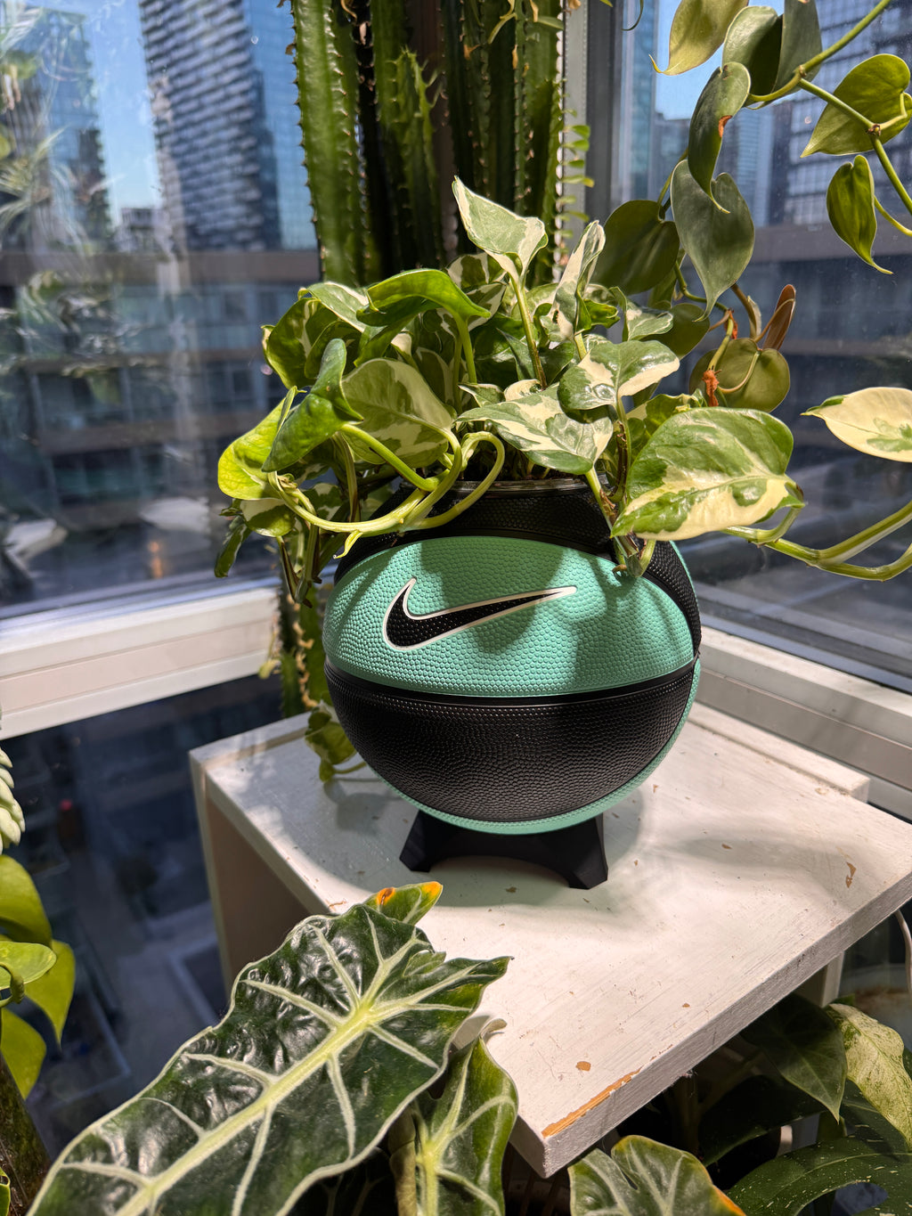 Nike Mini Basketball Planter (Tiff Blue & Black)