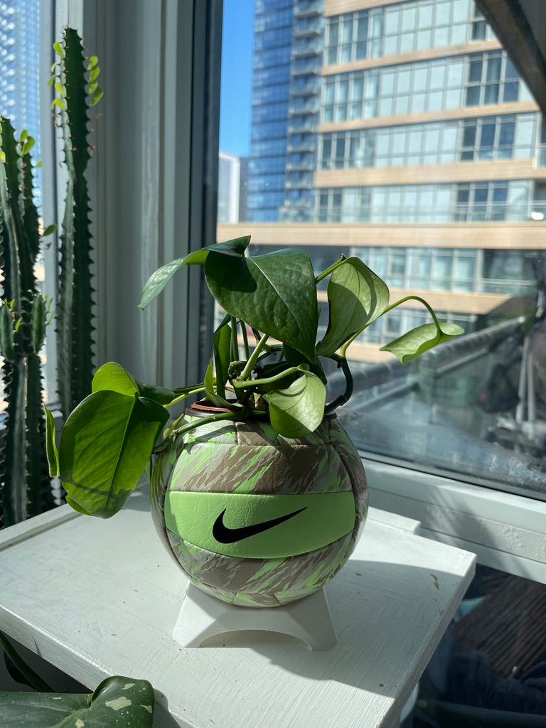 Nike Mini Volleyball Planter (Sand Storm)
