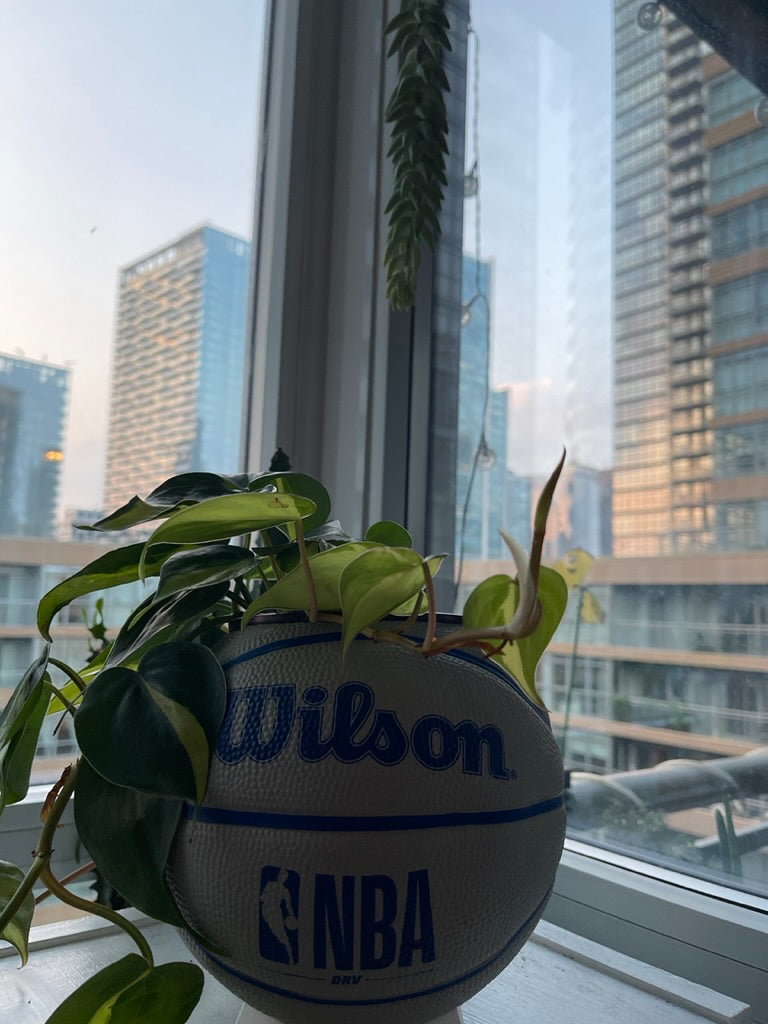 Mini Basketball Planter (NBA Grey)