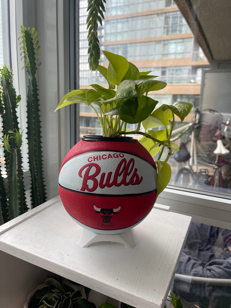 Mini Basketball Planter (Chicago Bulls)