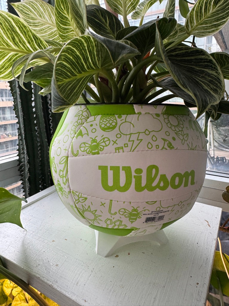 Large Volleyball Planter (Green Spring)