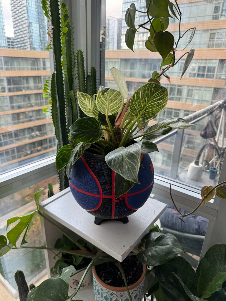 Nike Large Basketball Planter (Neon Graffiti)