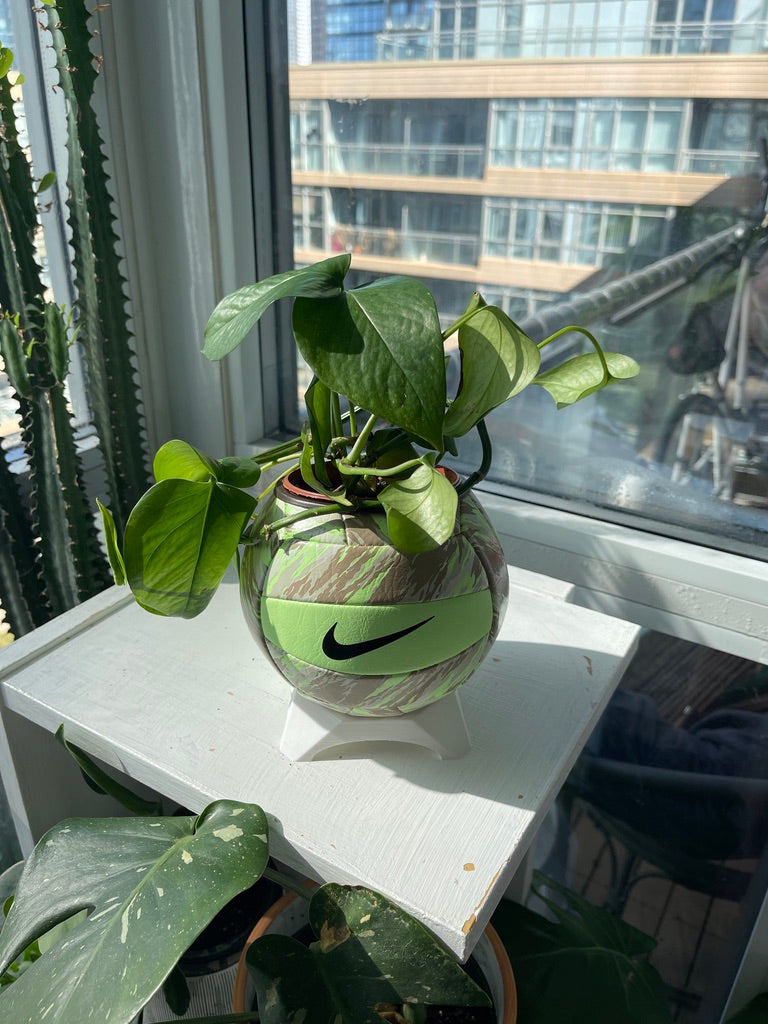 Nike Mini Volleyball Planter (Sand Storm)