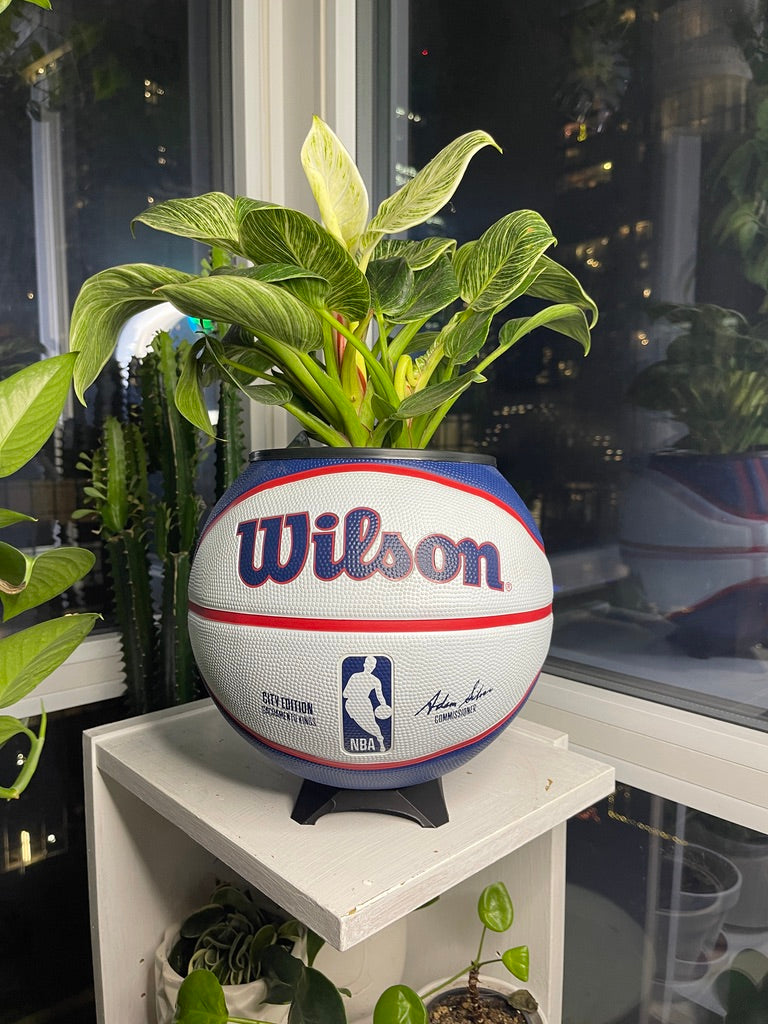 Large Basketball Planter (Sacramento Kings)
