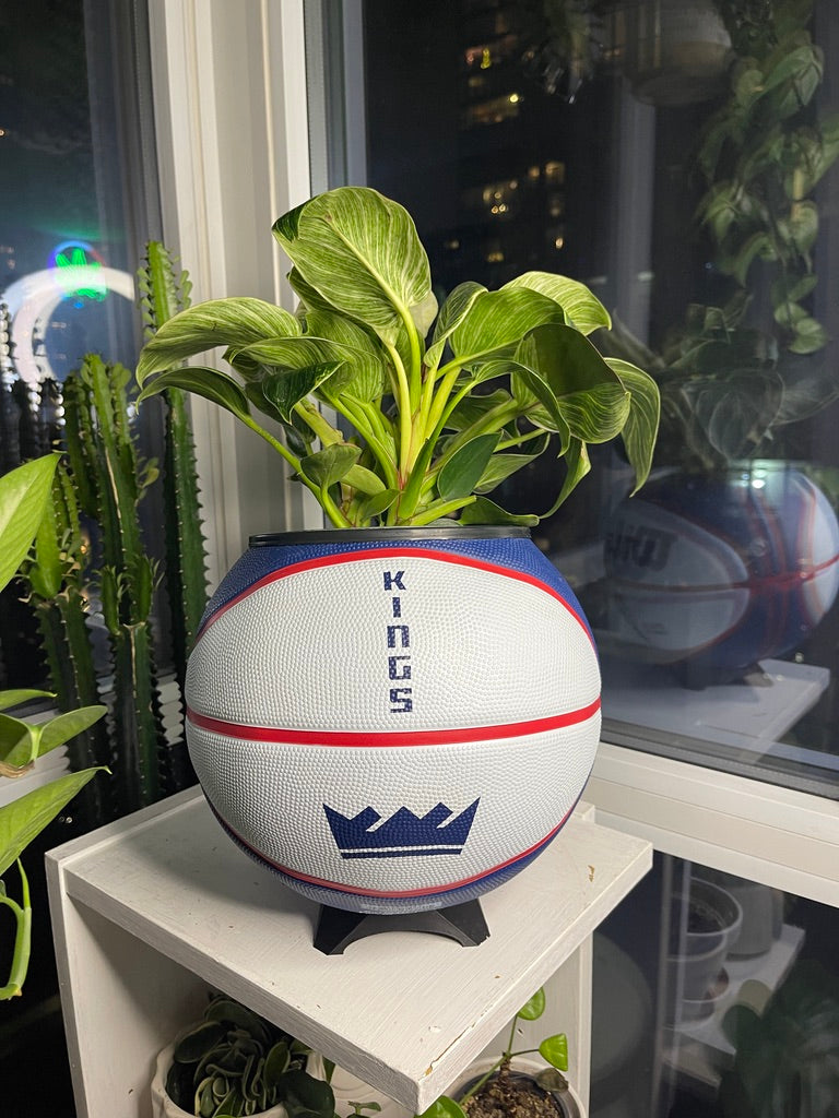 Large Basketball Planter (Sacramento Kings)