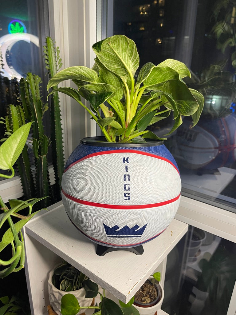 Large Basketball Planter (Sacramento Kings)