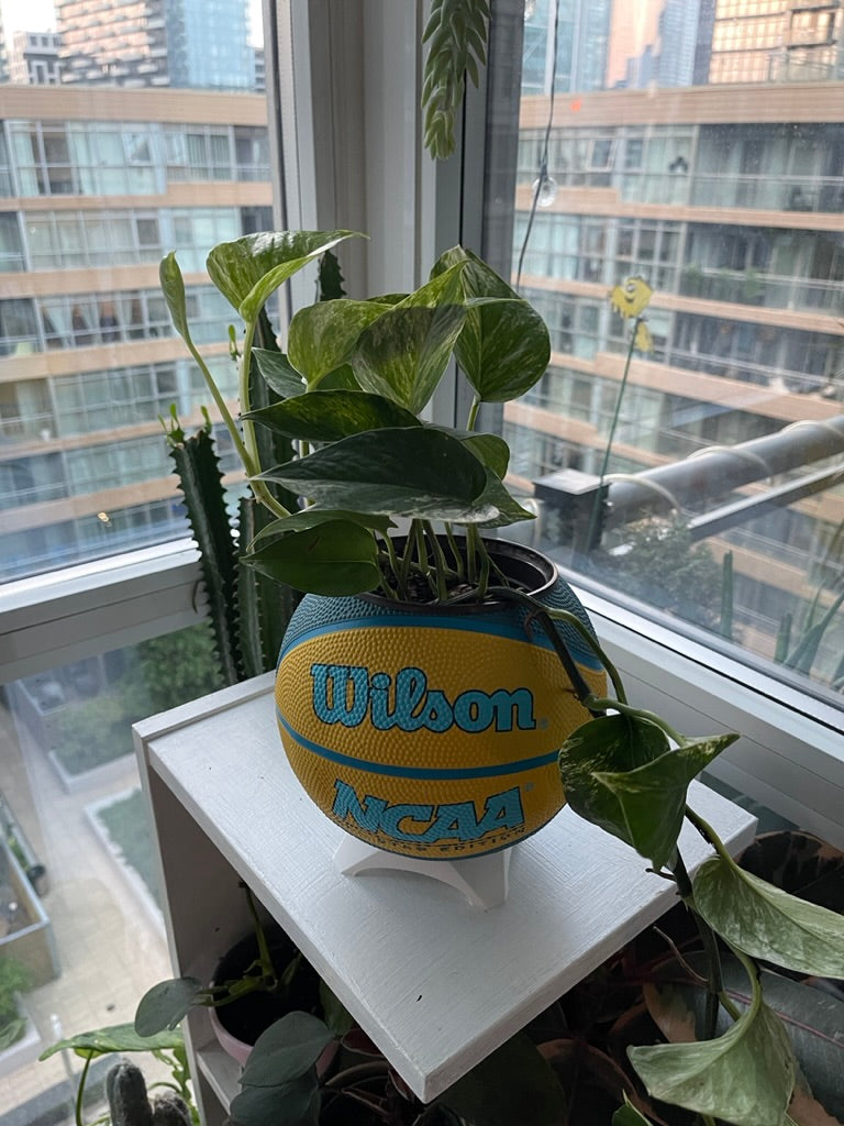 Mini Basketball Planter (NCAA Yellow)