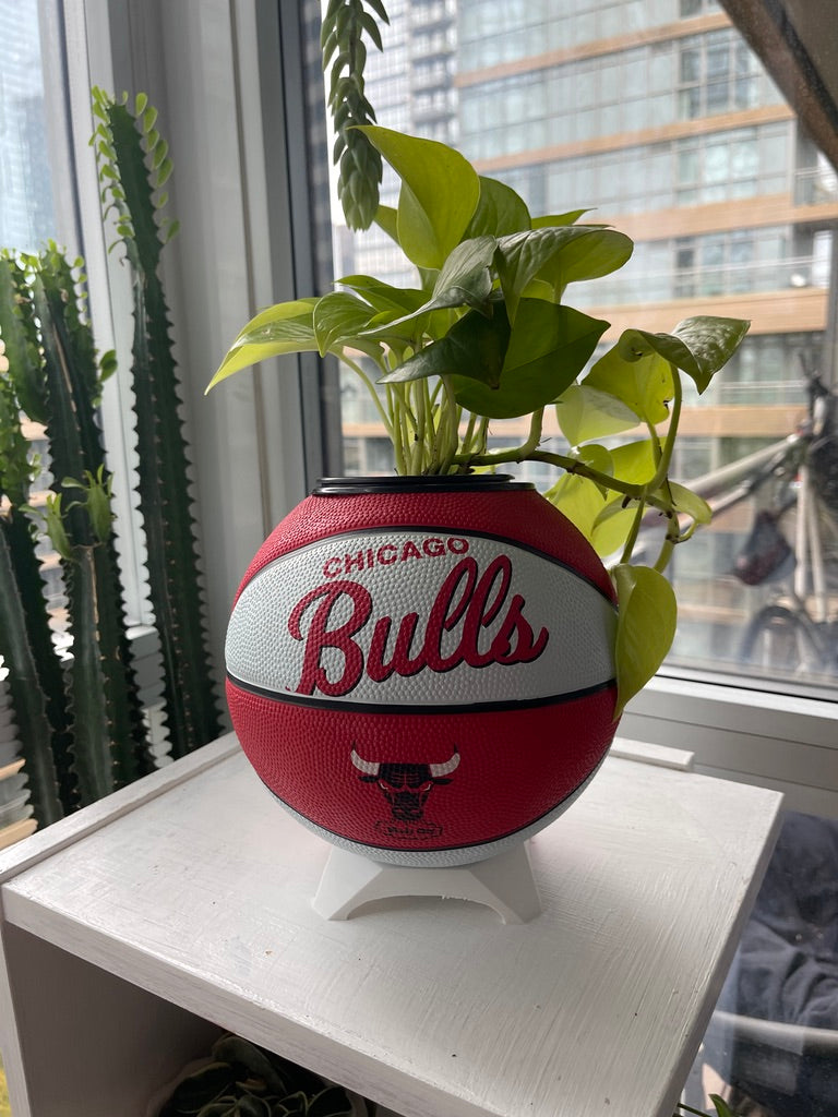 Mini Basketball Planter (Chicago Bulls)