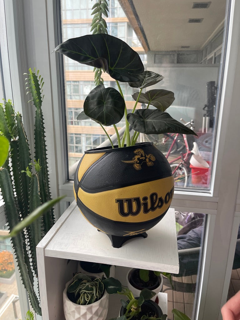 Large Basketball Planter (Toronto Raptors Gold Mascot)