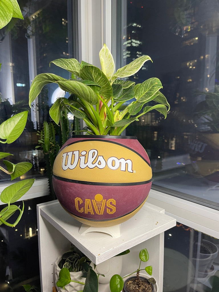 Large Basketball Planter (Cleveland Cavaliers)