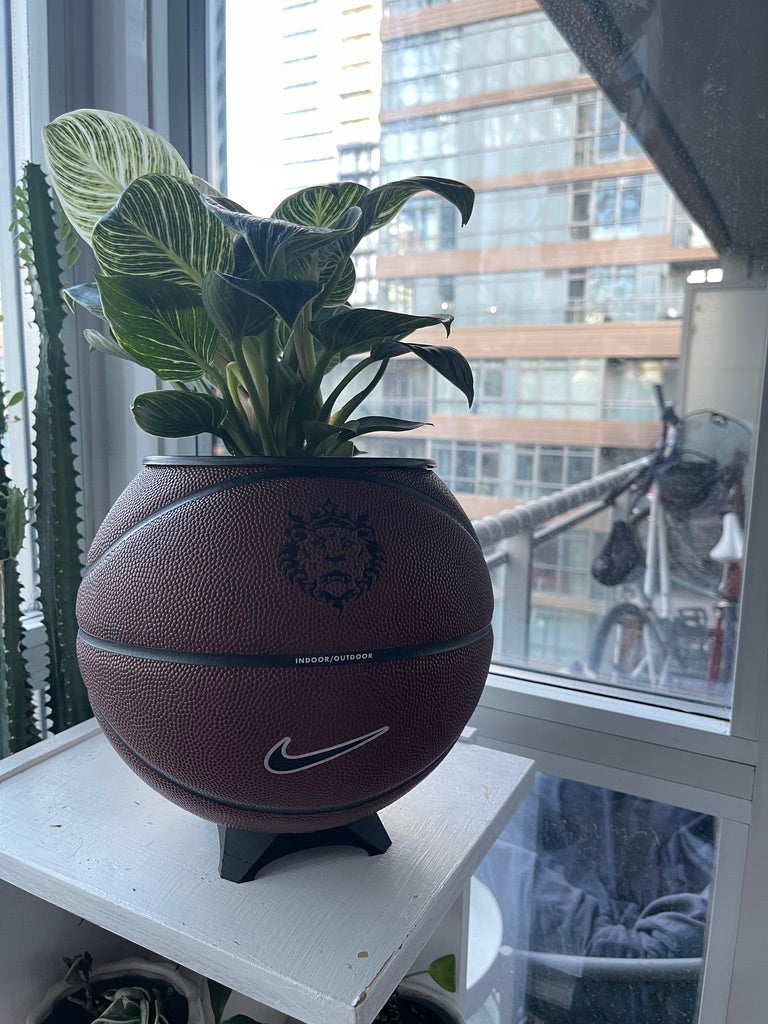 Nike Large Basketball Planter (LeBron Brown)