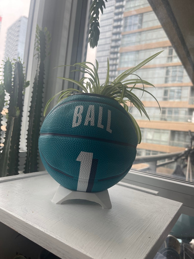 Mini Basketball Planter (Lamelo Ball)