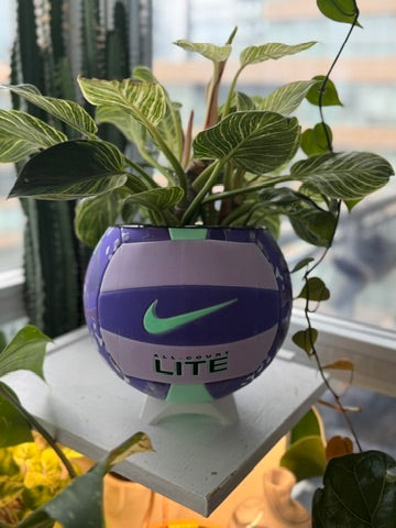 Nike Large Volleyball Planter (Purple Storm)