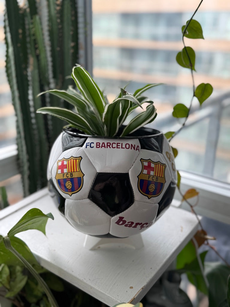Large Soccer Ball Planter (FC Barcelona)