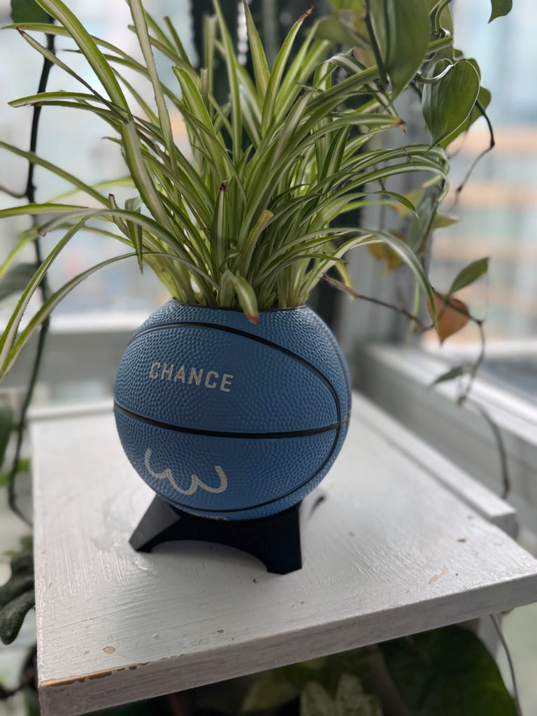 Ultra-Mini Basketball Planter (Penguin)