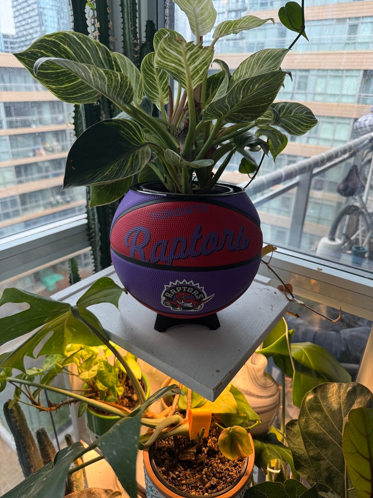 Large Basketball Planter (Toronto Raptors)
