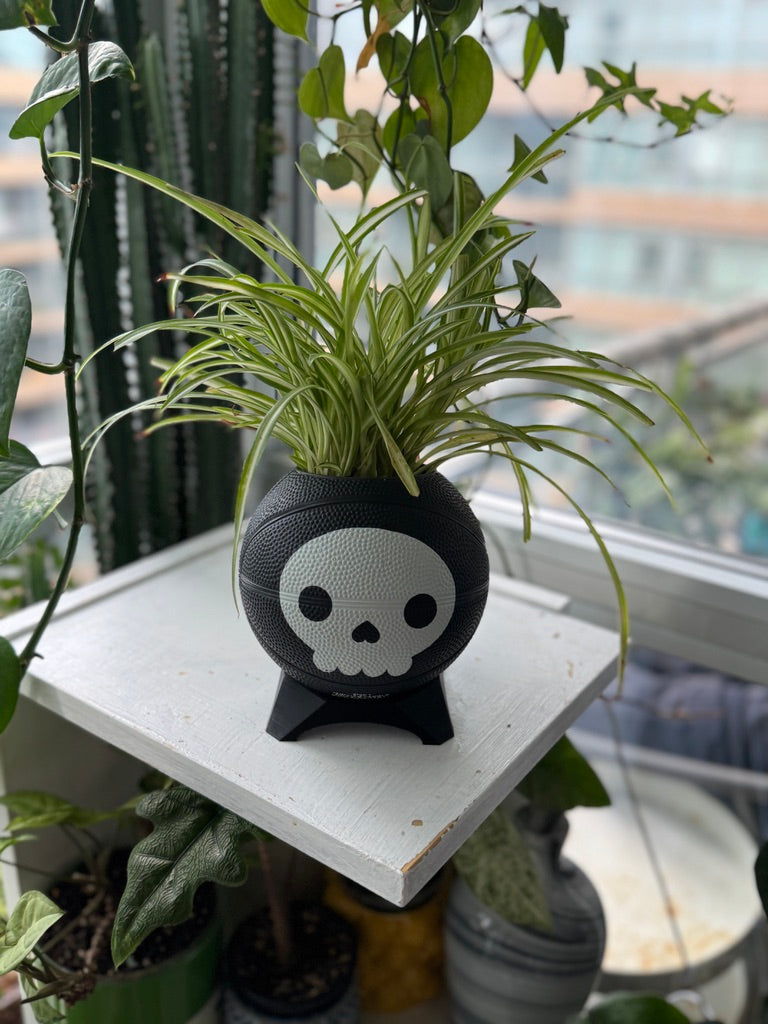 Ultra-Mini Basketball Planter (Skeleton)