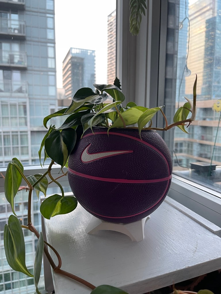 Nike Mini Basketball Planter (Grape)