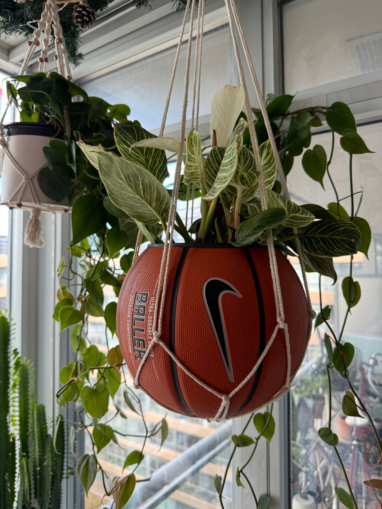 Nike Large Basketball Hanging Planter (White Macrame - Original Reversed)