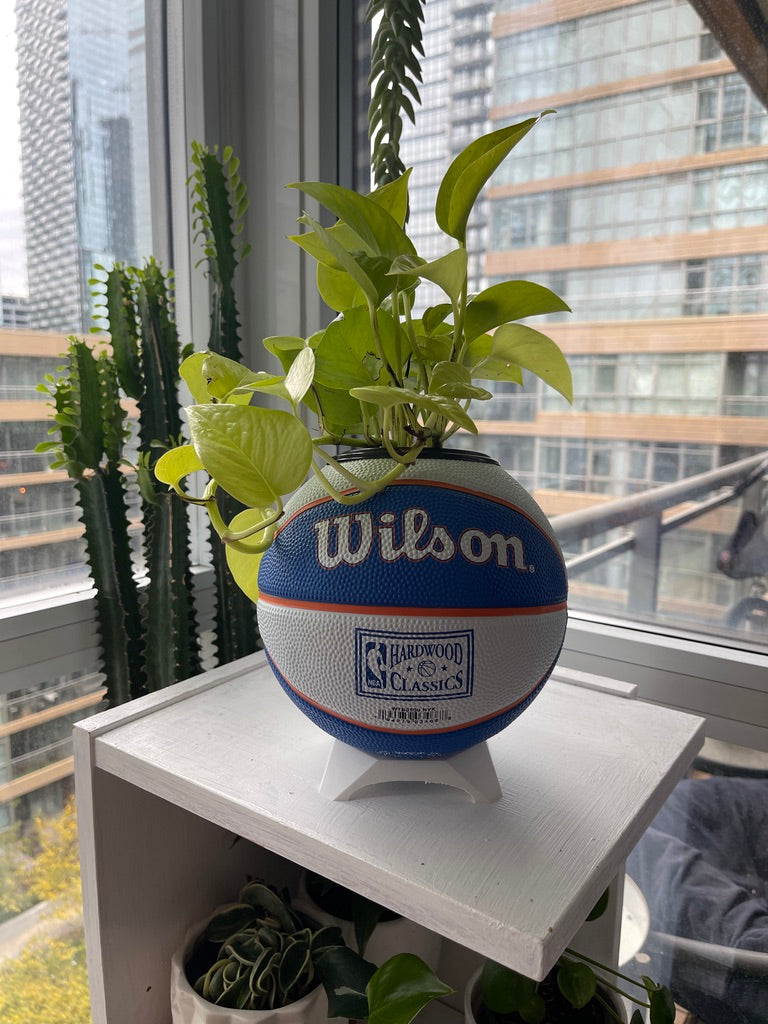 Mini Basketball Planter (New York Knicks)