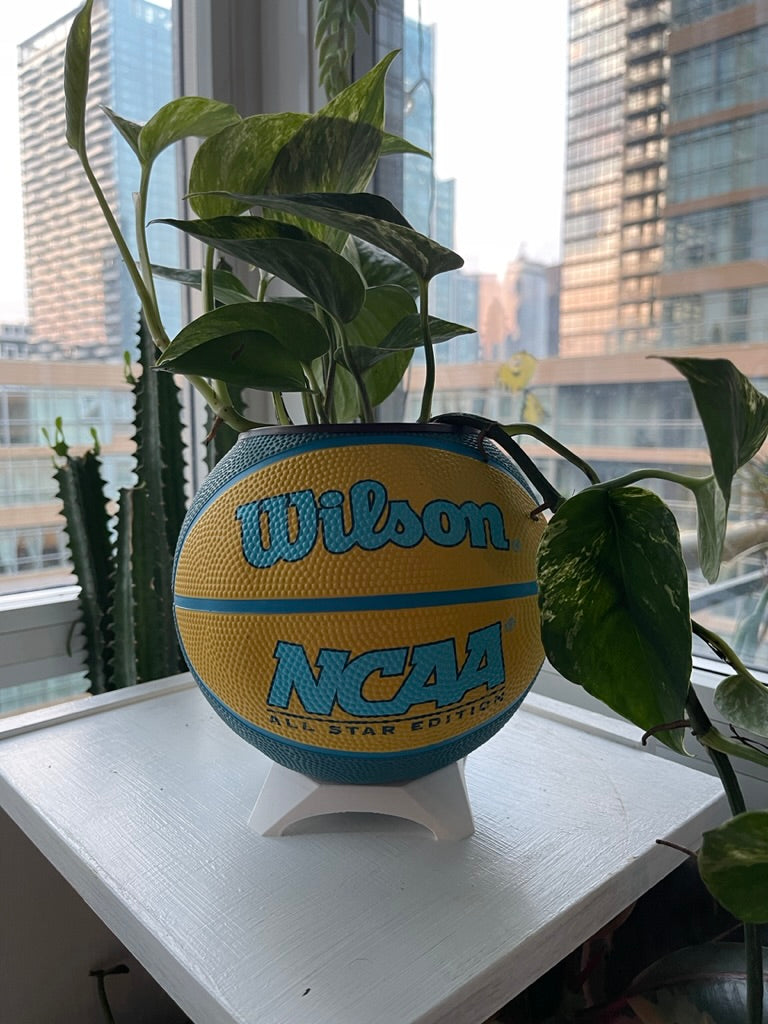 Mini Basketball Planter (NCAA Yellow)