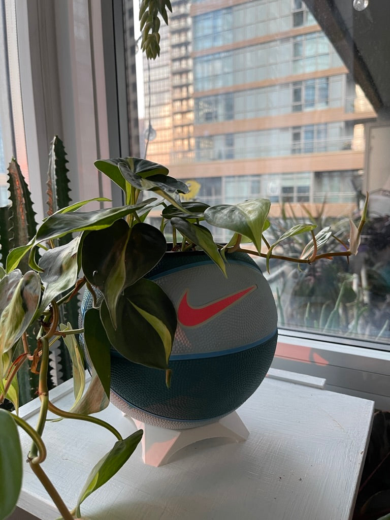 Nike Mini Basketball Planter (Hot Punch)