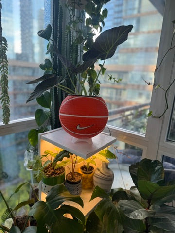 Nike Large Basketball Planter (Kobe Bryant Orange)