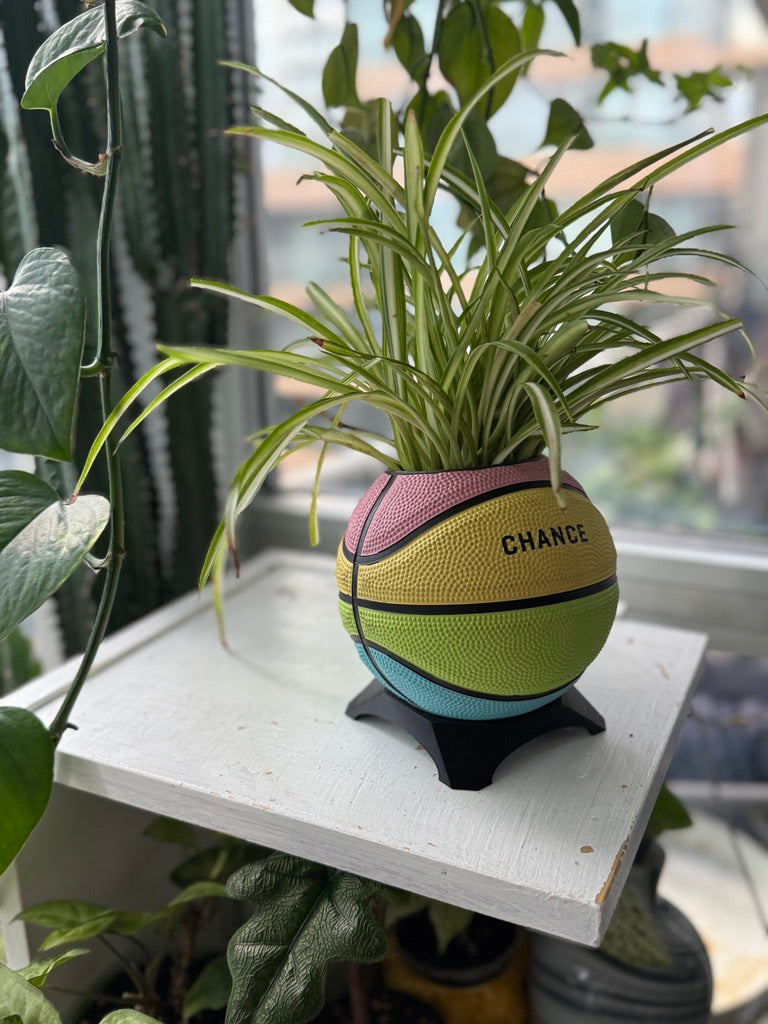 Ultra-Mini Basketball Planter (Sherbet Rainbow)