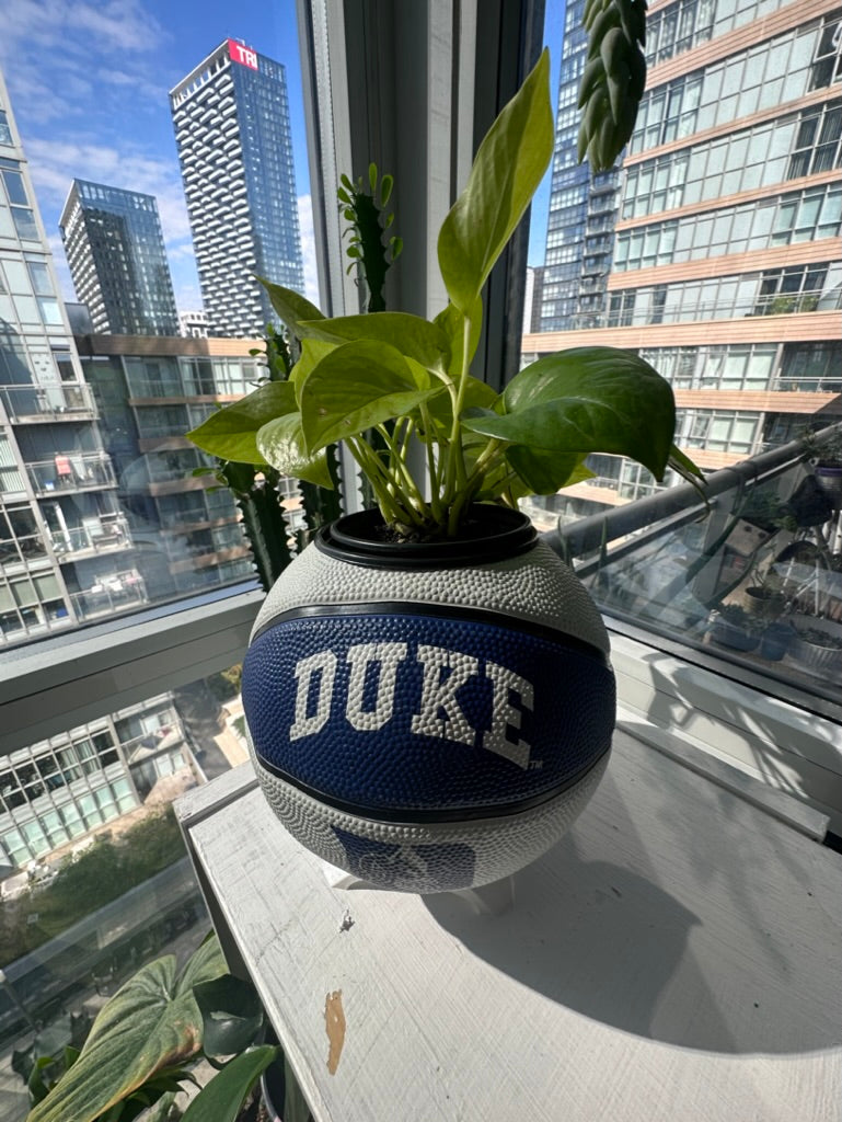 Mini Basketball Planter (Duke)