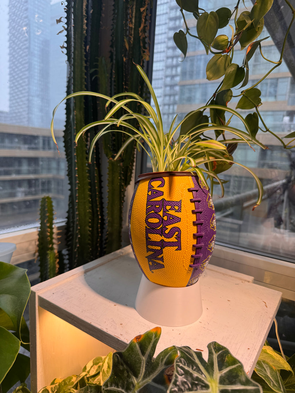 Mini Football Planter (East Carolina University Pirates)