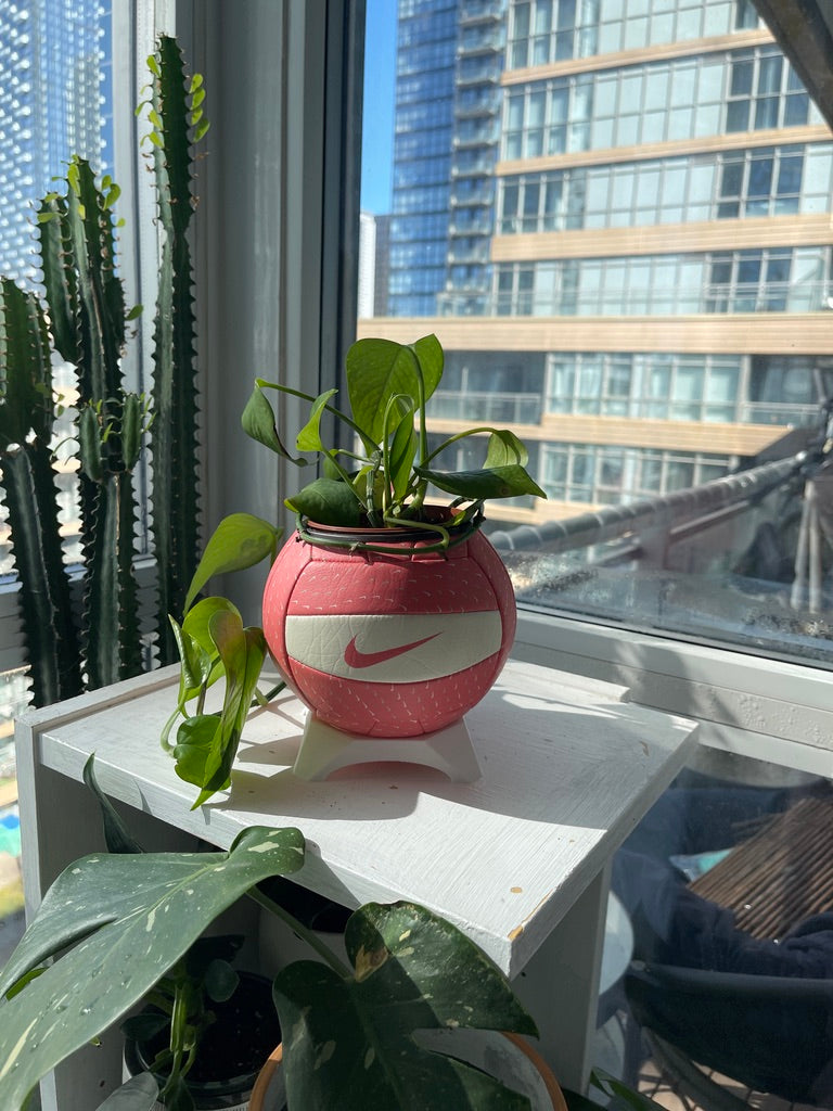 Nike Mini Volleyball Planter (Just Peachy)