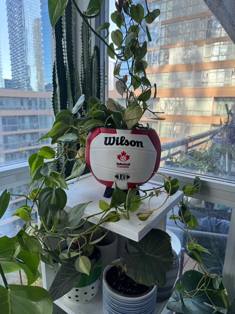 Large Volleyball Planter (Volleyball Canada)