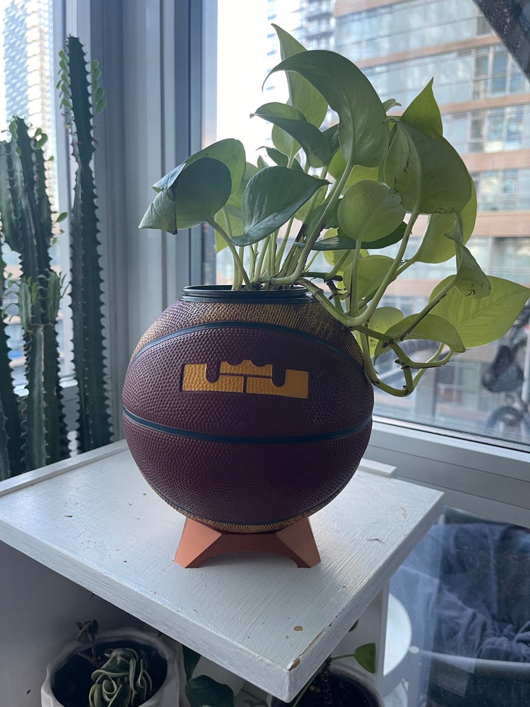 Nike Mini Basketball Planter (Lebron James)