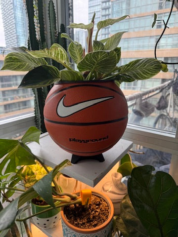 Nike Large Basketball Planter (OG White Playground)