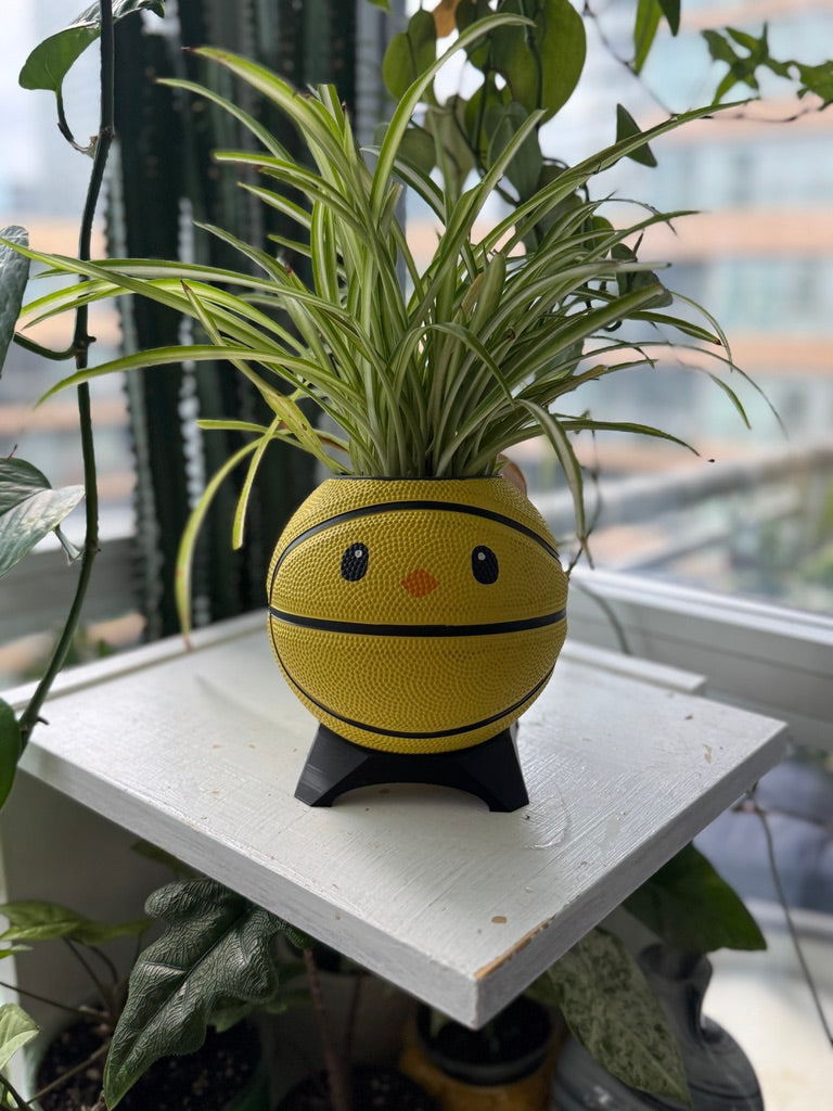 Ultra-Mini Basketball Planter (Chicken)