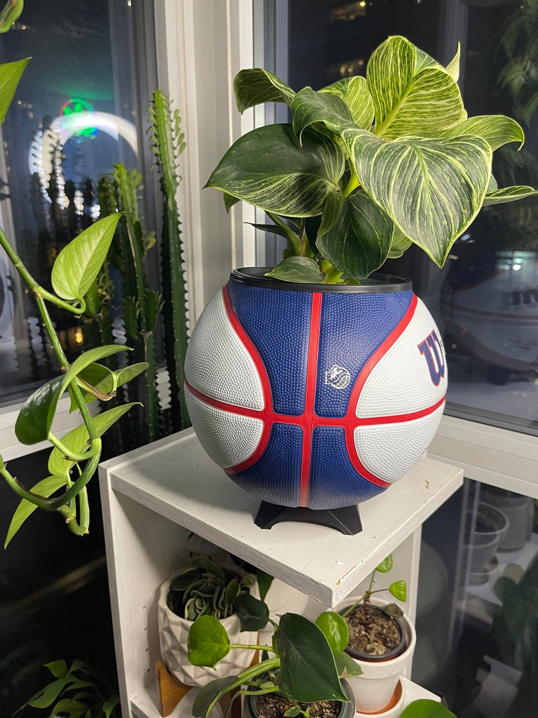 Large Basketball Planter (Sacramento Kings)