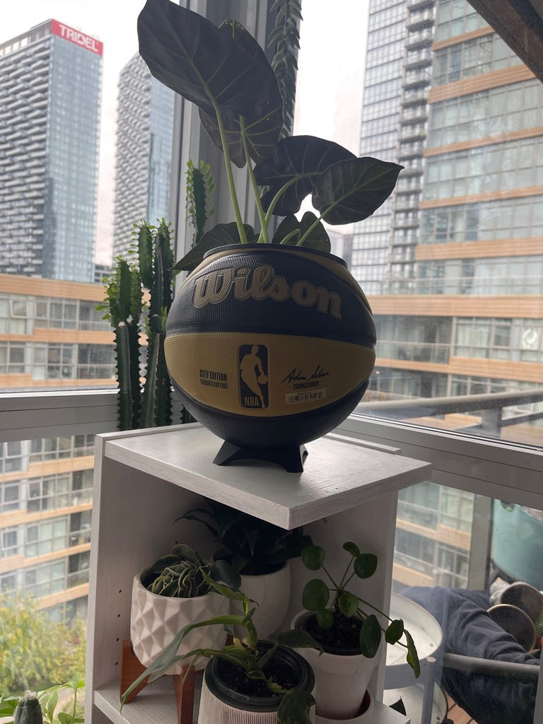 Large Basketball Planter (Toronto Raptors Gold)