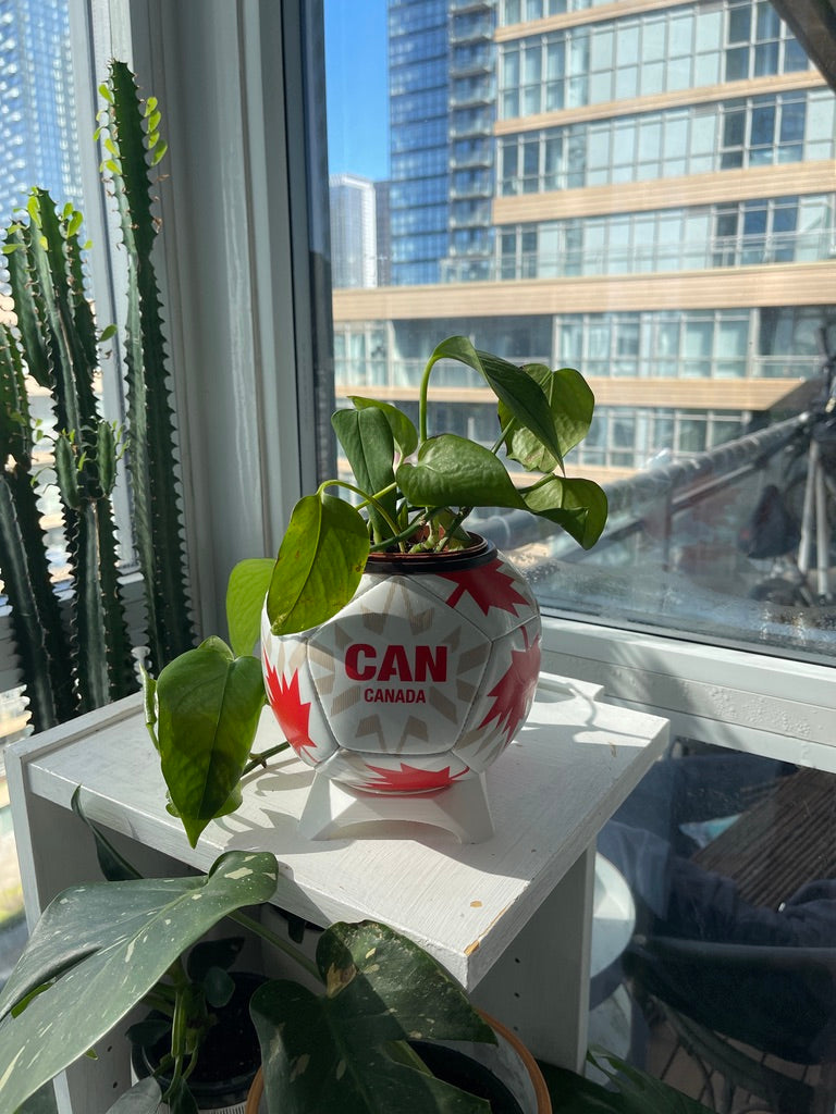 Mini Soccer Ball Planter (Canada)