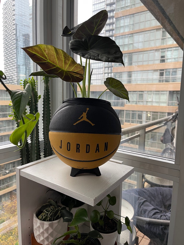 Nike Jordan Large Basketball Planter (Black & Gold)